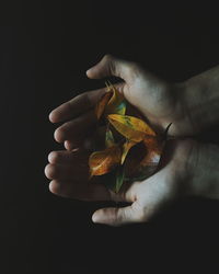 Close-up of hand holding leaf over black background