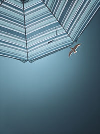 Low angle view of person paragliding against sky