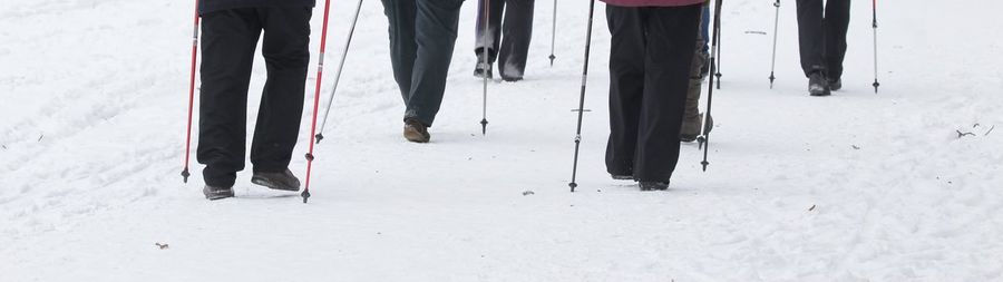 Low section of people with hiking poles walking on snow during winter