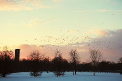 Scenic view of landscape against sky during winter