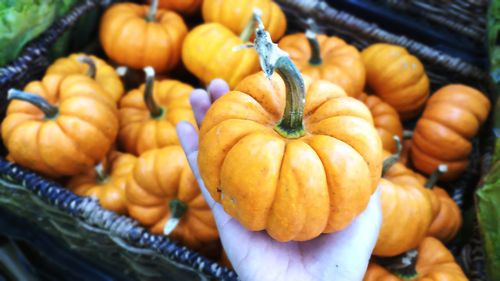 High angle view of pumpkins for sale in market