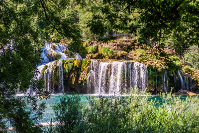 Scenic view of waterfall in forest