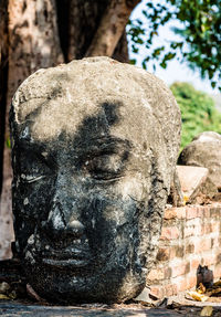 Close-up of buddha statue