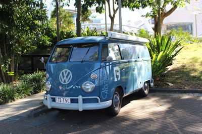 View of car on tree