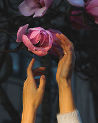 Close-up of hand by pink flower