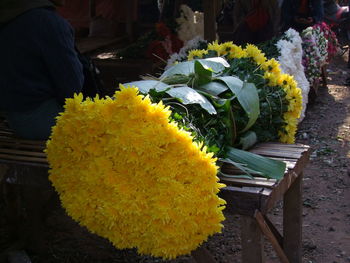 Midsection of yellow flowers