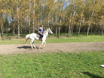 Teenage girl riding horse on field