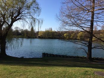 Scenic view of lake by trees against clear sky