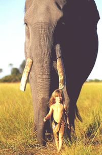 Elephant on field against sky