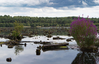 Scenic view of lake against sky