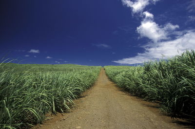 Road passing through field