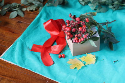 High angle view of potted plant on table