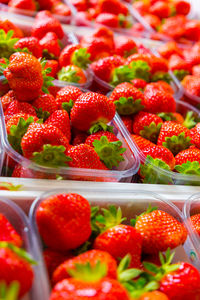 Close-up of strawberries