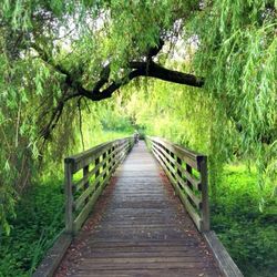 the way forward