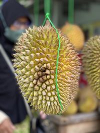 Durian fruit hanging on the rope in the durian market indonesia