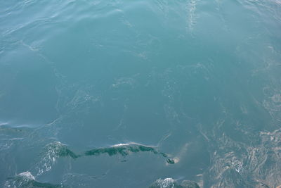 Full frame shot of water in sea