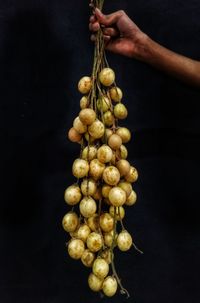 Close-up of hand holding berries against black background