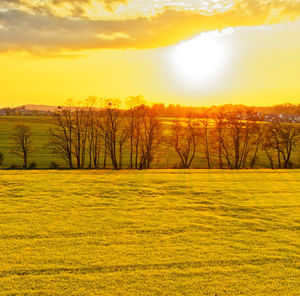 Scenic view of field against sky during sunset