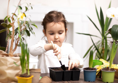 Portrait of smiling boy holding potted plant