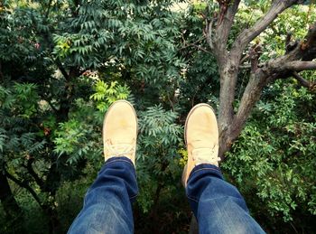 Low section of person standing on tree trunk