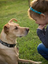 Dog sitting on grassy field