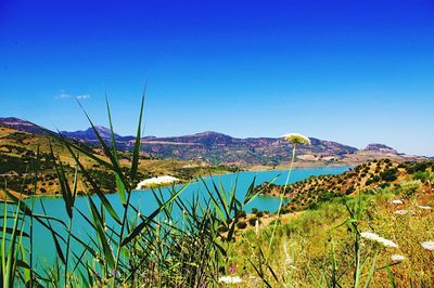 Scenic view of mountains against clear blue sky