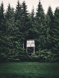 Low angle view of tree house