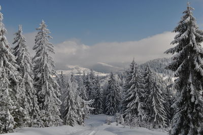 Snow covered landscape against sky