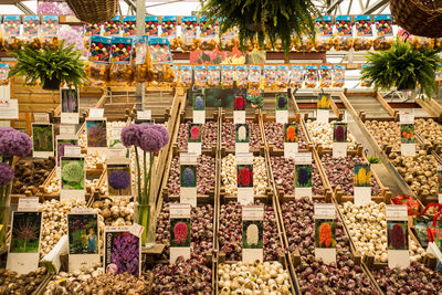 Plants for sale at market stall