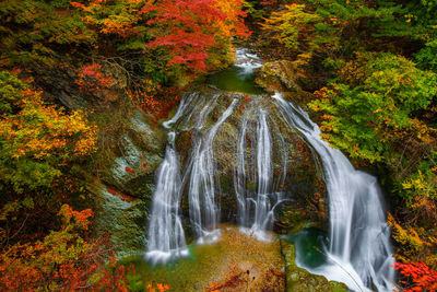 Waterfall in forest during autumn