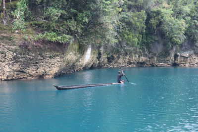 Man surfing in sea against trees