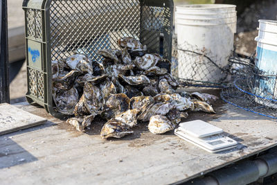 High angle view of food on table