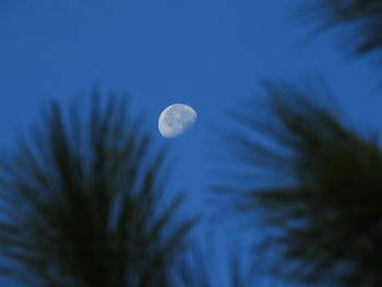 Low angle view of moon against sky at night