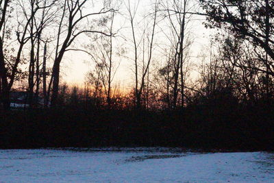 Silhouette bare trees in forest against sky during sunset