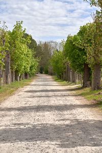 Empty road along plants and trees against sky