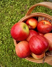 High angle view of apples in basket