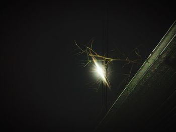 Low angle view of illuminated lights at night