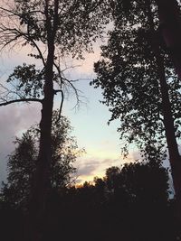 Silhouette trees against sky during sunset