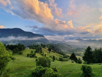 Scenic view of landscape against sky