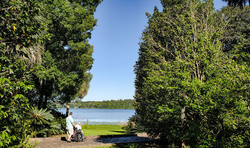 Trees by lake against sky