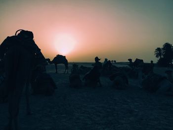 Silhouette of people on field against sky at sunset