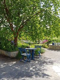 Empty chairs and table in park