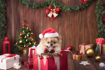 View of christmas ornaments on tree