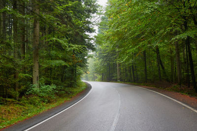 Empty road amidst trees in forest