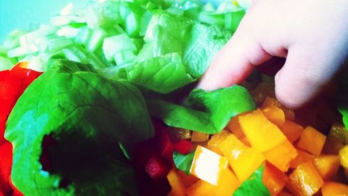 Close-up of multi colored food