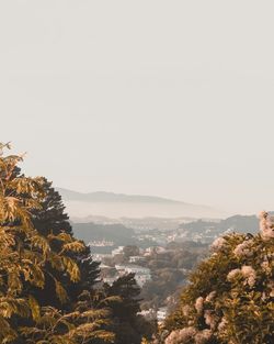 Scenic view of tree mountains against clear sky