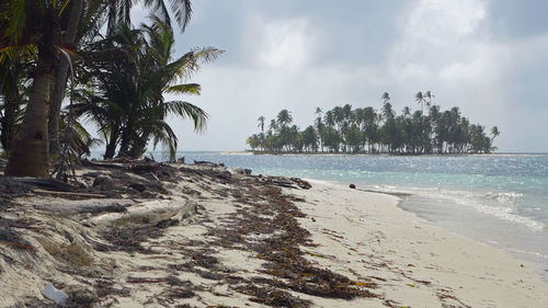 Scenic view of beach against sky