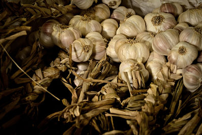 Close-up of garlic bulbs