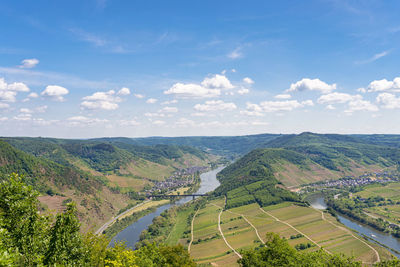 Beautiful, ripening vineyards in the spring season in western germany, the moselle river flowing.