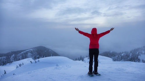 Rear view of person standing on snowcapped mountain against sky